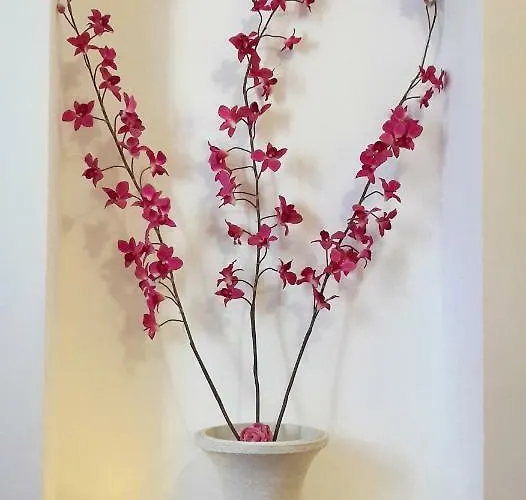 Апартаменты Sol *